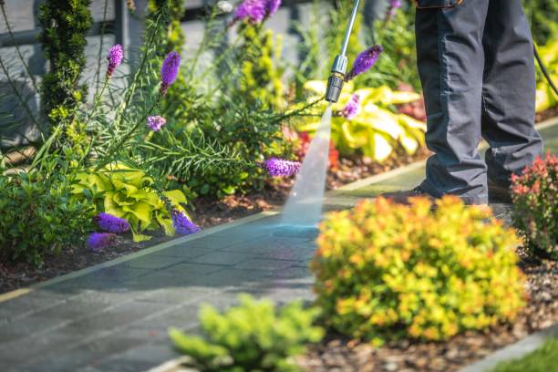 Best Winterizing Services  in East Washington, PA